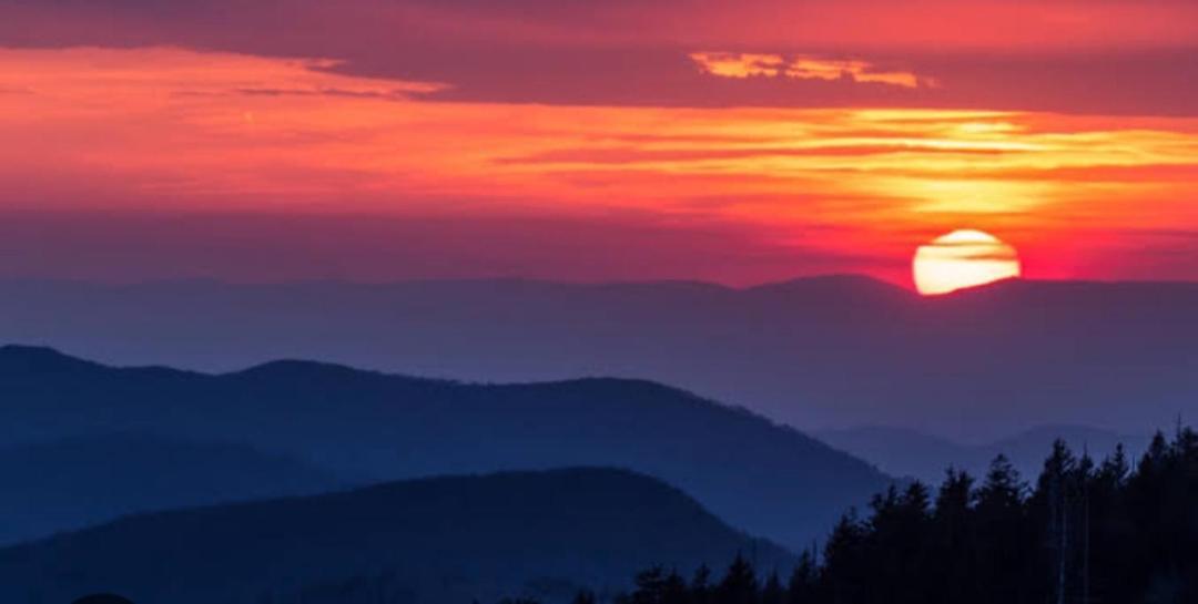 The Sunset Nest Offbeat Homestay Дарджилинг Экстерьер фото